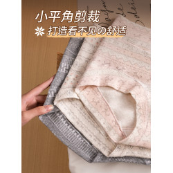 貓人內褲女士純棉2026新款A類抗菌全棉加長襠女生透氣小平角短褲