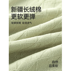 都市麗人高腰內褲女士純棉抗菌襠2026新款無痕收腹女生大碼短褲頭