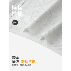 有內四角內褲女士純棉100%全棉抗菌襠女生無痕中腰平角2026新短褲