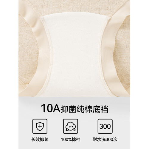 都市麗人孕婦內褲女士純棉抗菌襠2025新款孕早中晚期無痕高腰托腹