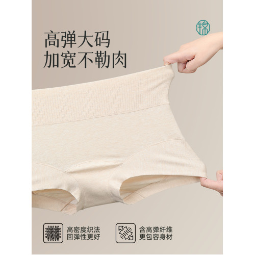 錦度平角內褲女士純棉2025年新款高腰全棉加長襠A類大碼四角短褲