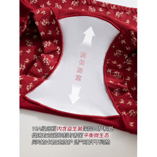 雅鹿紅色本命年抗菌純棉女士平角內褲女款全棉a類少女生四角短褲