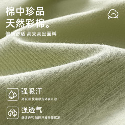 雅鹿純棉青少年男士內褲平角男生抗菌透氣四角短褲男款2024運動YL