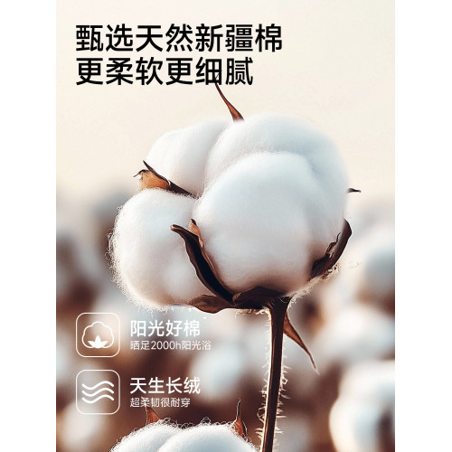 貓人男士內褲純棉男生四角短褲2026新款透氣抑菌平角褲頭男款褲衩