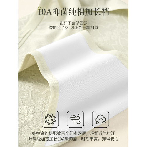 都市麗人孕婦內褲女士純棉抗菌襠2025新款孕早中晚期低腰托腹短褲