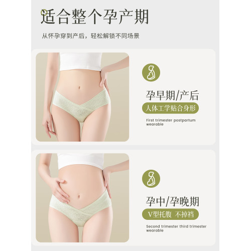 都市麗人孕婦內褲女士純棉抗菌襠2025新款孕早中晚期低腰托腹短褲