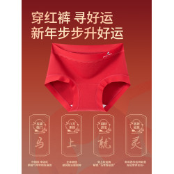 本命年青少年少女孩紅色內褲女純棉抗菌馬年初高中學生大童三角褲