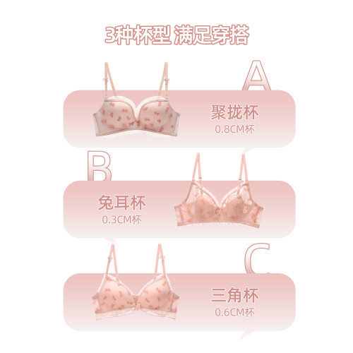 六隻兔子內衣女小胸聚攏甜美風蕾絲胸罩無鋼圈收副乳防下垂文胸
