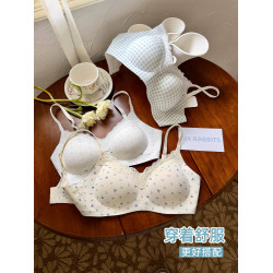六隻兔子內衣女小胸聚攏深v領無鋼圈胸罩收副乳防下垂甜美風文胸