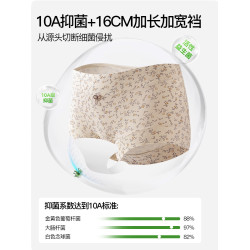 南極人A類純棉內褲女士10A抗菌全棉加長襠女生平角全包臀四角短褲