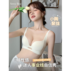 收副乳內衣女小胸聚攏顯大無痕提拉上托防下垂2024新款爆款文胸罩