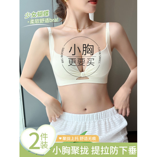 收副乳內衣女小胸聚攏顯大無痕提拉上托防下垂2024新款爆款文胸罩