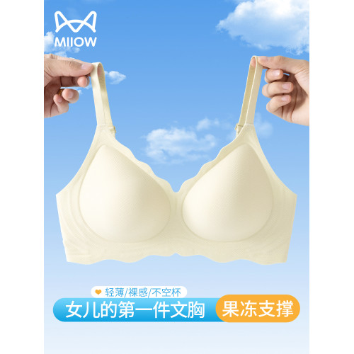 貓人高中生少女內衣文胸發育期學生青少年女孩無痕小胸聚攏固定杯