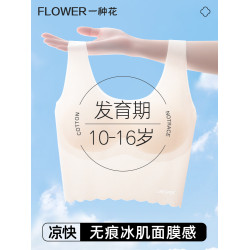 青少年13嵗女孩內衣女學生初高中生冰絲夏薄款青春發育期少女文胸