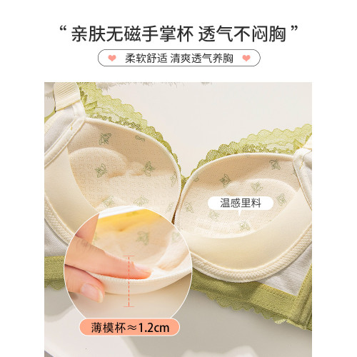 本命年紅色內衣女聚攏小胸薄款1.2cm上托收副乳手掌杯無鋼圈文胸