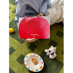 大蘋果hakunamatata夢想成真 蘋果筆電macbook電腦保護殼 全包殼水晶透明pc材質