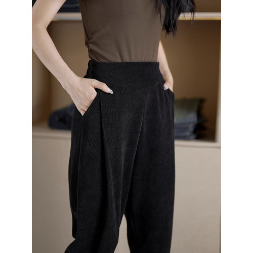 哈倫褲加絨2025年秋冬新款女士寬鬆高腰松緊小腳蘿蔔褲休閒褲長褲