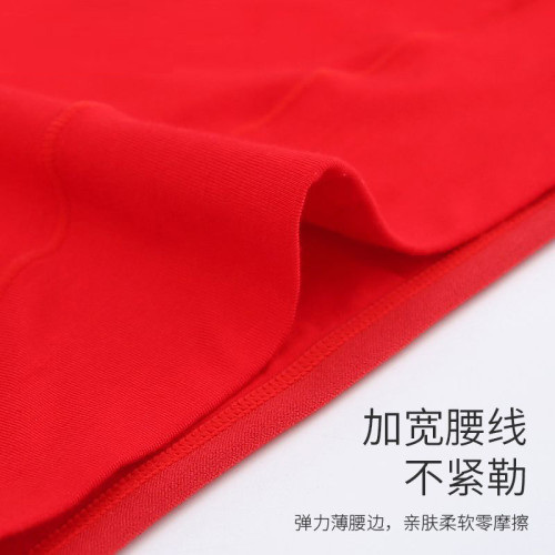 2025本命年馬年大紅色高腰女士內褲莫代爾大碼純棉襠新年三角褲