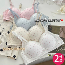 甜美碎花少女內衣女小胸聚攏秋冬收副乳防走光防震學生高中生文胸