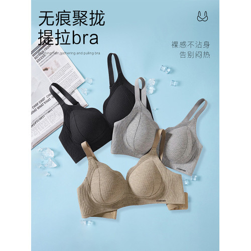 2026秋冬內衣女聚攏小胸收副乳上托防下垂無鋼圈磨毛運動女士胸罩