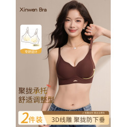 提拉調整型內衣女小胸聚攏2025新款爆款無痕上托收副乳防下垂文胸