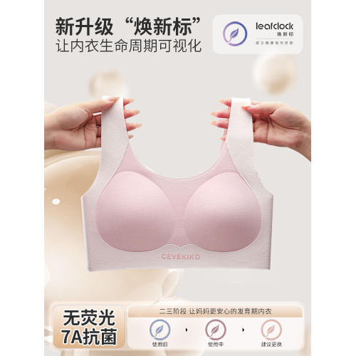 貓人內衣學生初中女青春發育期高中生少女文胸二階段運動防震背心