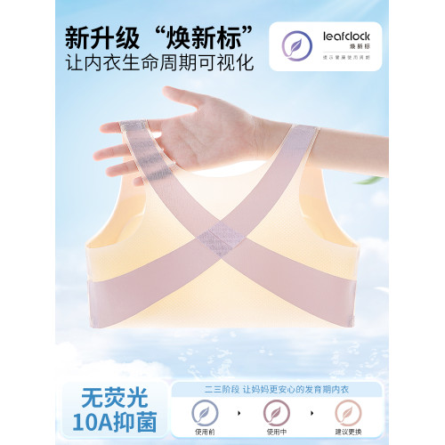 貓人發育期內衣青少年學生初中高中生少女背心青春期運動防震文胸