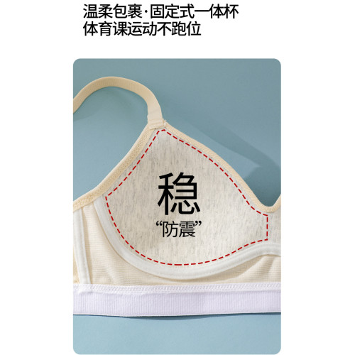 高中生少女文胸罩初中生女孩二三階段發育期定型內衣固定杯無鋼圈 高中生少女文胸罩初中生女孩二三階段發育期定型內衣固定杯無鋼圈