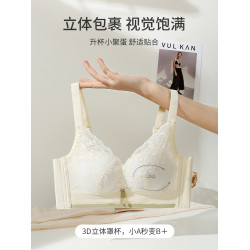 調整型內衣女小胸聚攏上托無鋼圈2025新款爆款蕾絲女士文胸罩秋冬