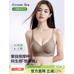 2025新款爆款內衣女小胸聚攏無痕上托收副乳防下垂舒適按摩杯文胸