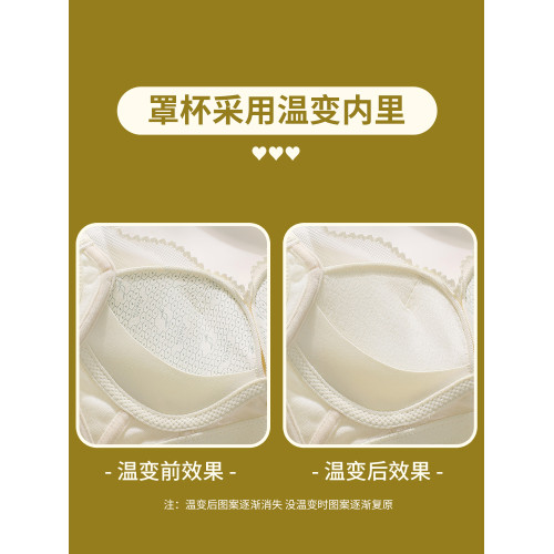婷美內衣女小胸聚攏上托防下垂收副乳院線專業無鋼圈調整型文胸罩