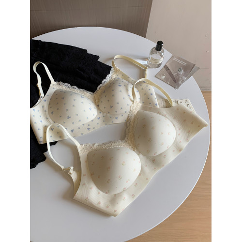 馨幫幫Bra 甜美碎花蕾絲無痕內衣女小胸聚攏舒適無鋼圈防下垂文胸 馨幫幫Bra 甜美碎花蕾絲無痕內衣女小胸聚攏舒適無鋼圈防下垂文胸