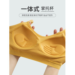 少女運動內衣女學生高中生無鋼圈防震小胸聚攏防下垂純棉定型文胸