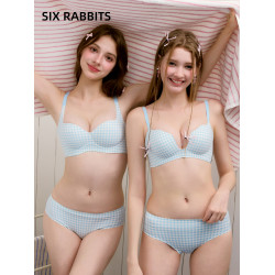 六隻兔子無痕內衣女小胸聚攏顯大抗菌胸罩收副乳無鋼圈文胸套裝