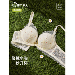 都市麗人性感蕾絲內衣小胸聚攏提拉防下垂收副乳軟支撐無鋼圈文胸