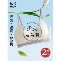 貓人少女內衣學生初中女高中生青春期文胸二階段運動防震背心女童