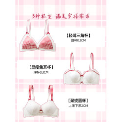 六隻兔子蕾絲內衣女性感法式三角杯大胸顯小防下垂甜美無鋼圈文胸
