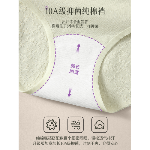 南極人純棉內褲女士加肥加大碼胖mm300斤全棉2025新款女生三角褲