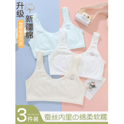 夏季薄款女童背心發育期小學生一二階段10女孩8-14嵗兒童純棉內衣