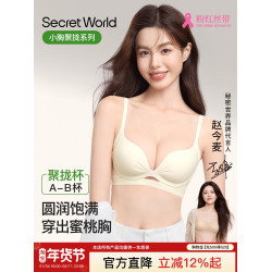 SecretWorld內衣女聚攏小胸顯大收副乳無痕透氣文胸罩2025年新款