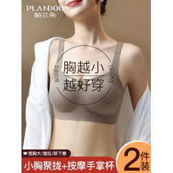 內衣女小胸聚攏無鋼圈顯大2026新款爆款文胸收副乳防下垂文胸胸罩