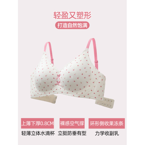 六隻兔子內衣女小胸聚攏無鋼圈文胸軟支撐收副乳防下垂甜美風胸罩