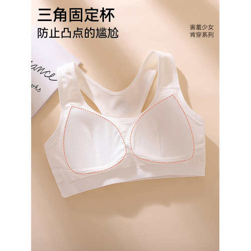 貓人少女內衣青少年發育期運動文胸初高中學生背心12嵗二階段女孩