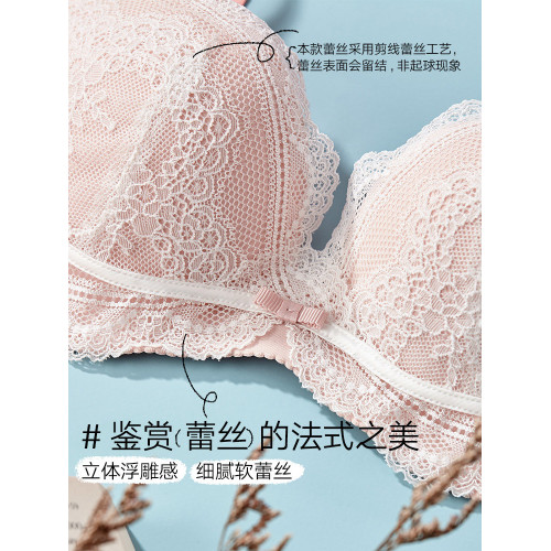 蘭卓麗內衣女聚攏小胸顯大無鋼圈蕾絲文胸收副乳防下垂