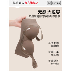 貓人內衣女小胸聚攏收副乳防下垂2025新款固定杯無鋼圈無痕文胸罩