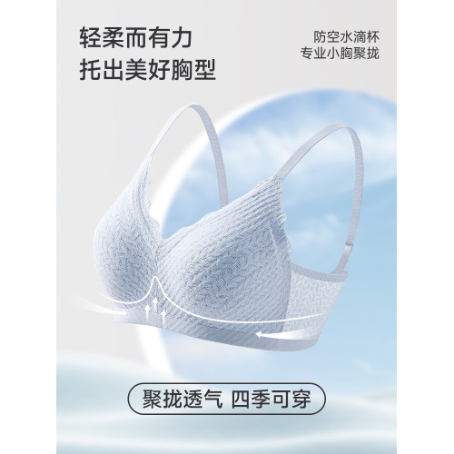 貓人內衣女聚攏小胸美背收副乳上托防下垂文胸無鋼圈2026新款胸罩