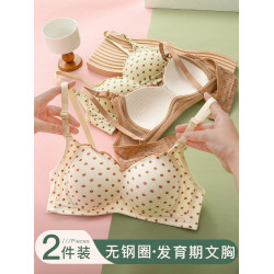 高中生少女發育期初中生青少年內衣女大學生無鋼圈小胸聚攏文胸罩