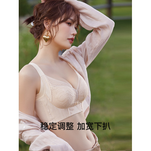 茜施爾小胸聚攏調整型內衣上薄下厚無鋼圈蕾絲胸罩上托收副乳文胸