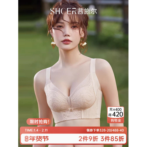 茜施爾小胸聚攏調整型內衣上薄下厚無鋼圈蕾絲胸罩上托收副乳文胸