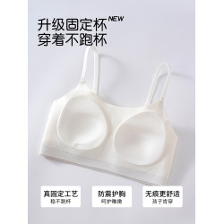 貓人內衣女學生初中高中發育期少女文胸青春期青少年運動防震背心